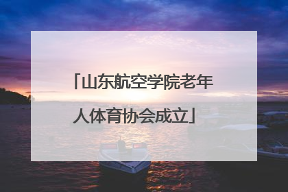 山东航空学院老年人体育协会成立